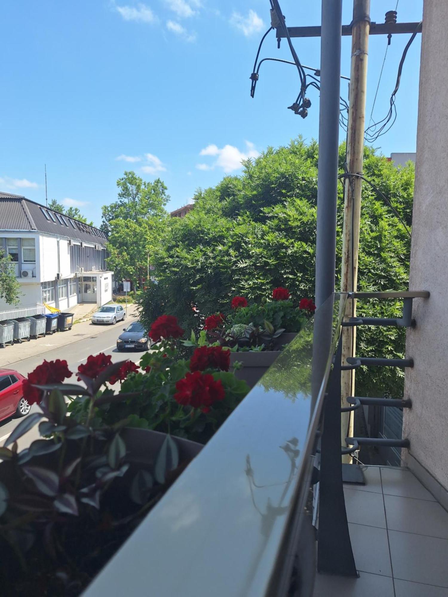 Garni Hotel Ema Kragujevac Eksteriør billede