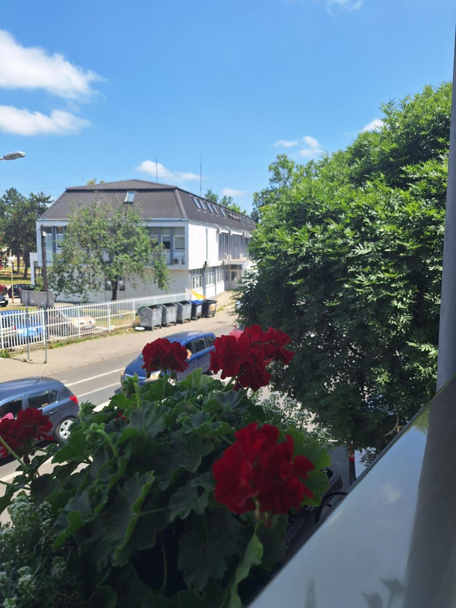 Garni Hotel Ema Kragujevac Eksteriør billede