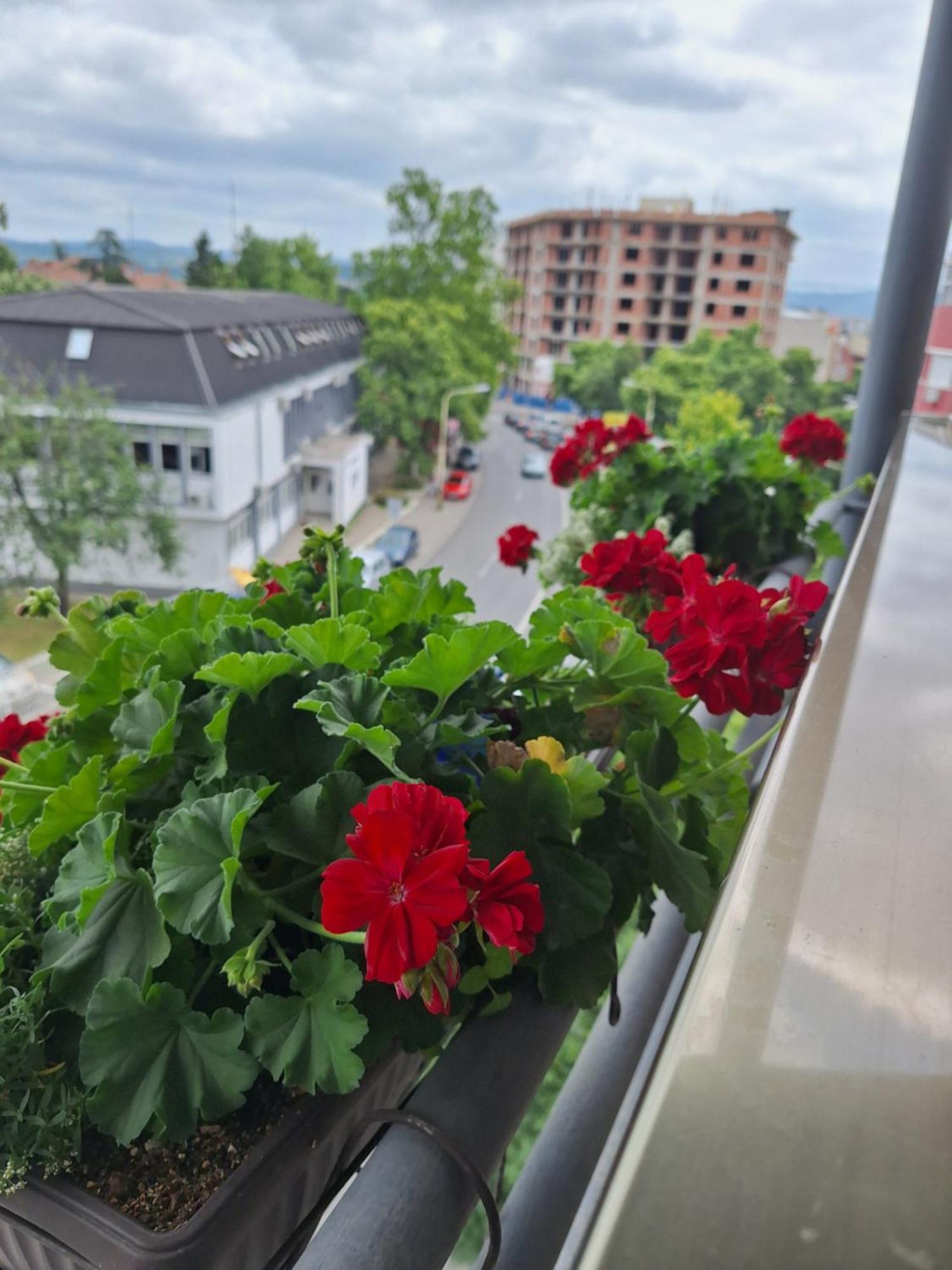 Garni Hotel Ema Kragujevac Eksteriør billede